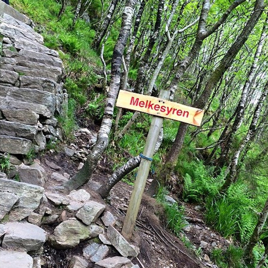 "Stoltzen Opp" Challenge 2025