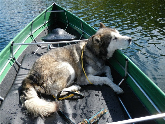 Canoe - Bergen Sports Club - Rental