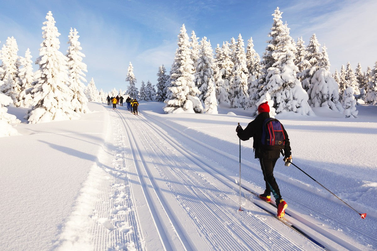 SPorts - Cross - Country training - Bergen