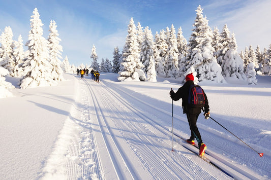 SPorts - Cross - Country training - Bergen